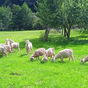  Maison d'hôtes Au Mohair Des Alpy France